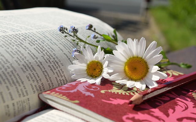 Open book with daisies